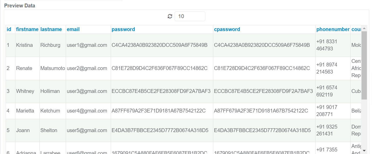 GenRocket Data Preview