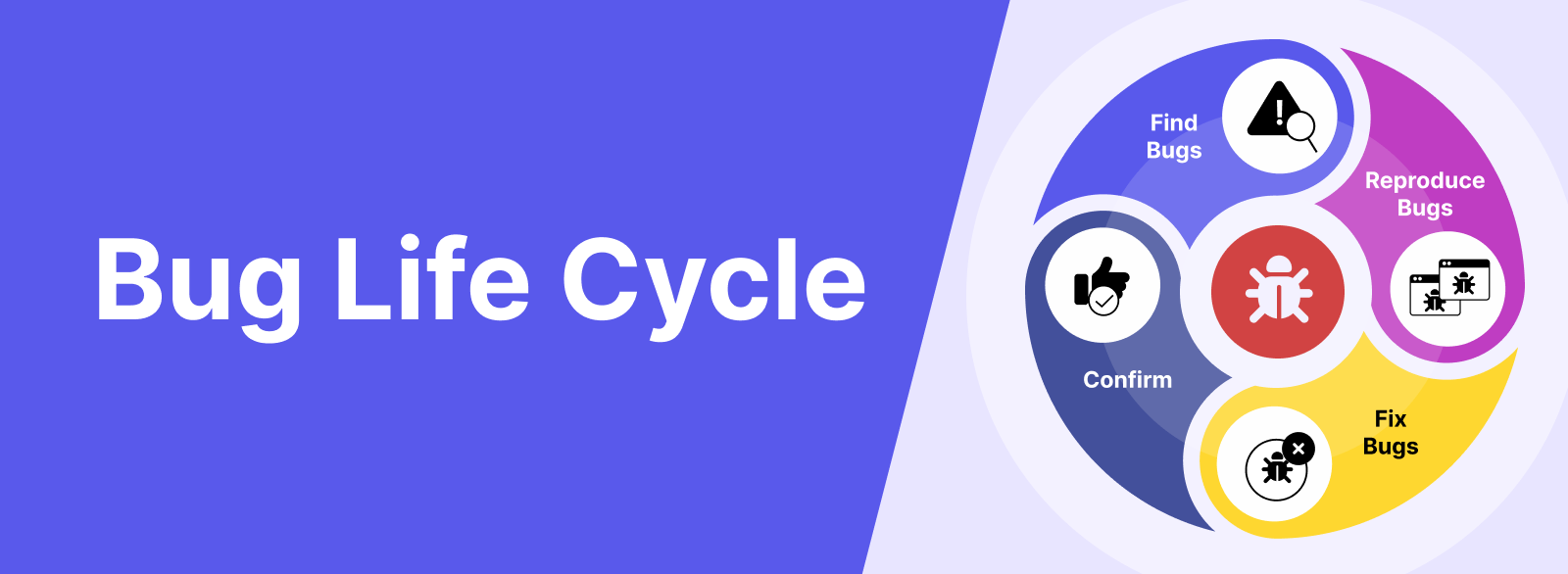 Bug Life Cycle banner