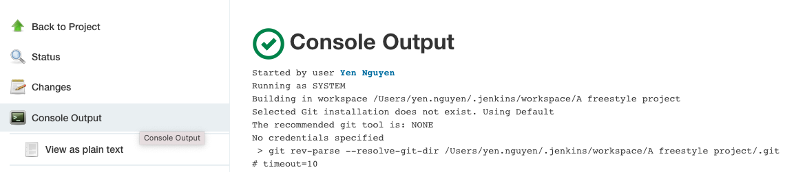 console output in Jenkins