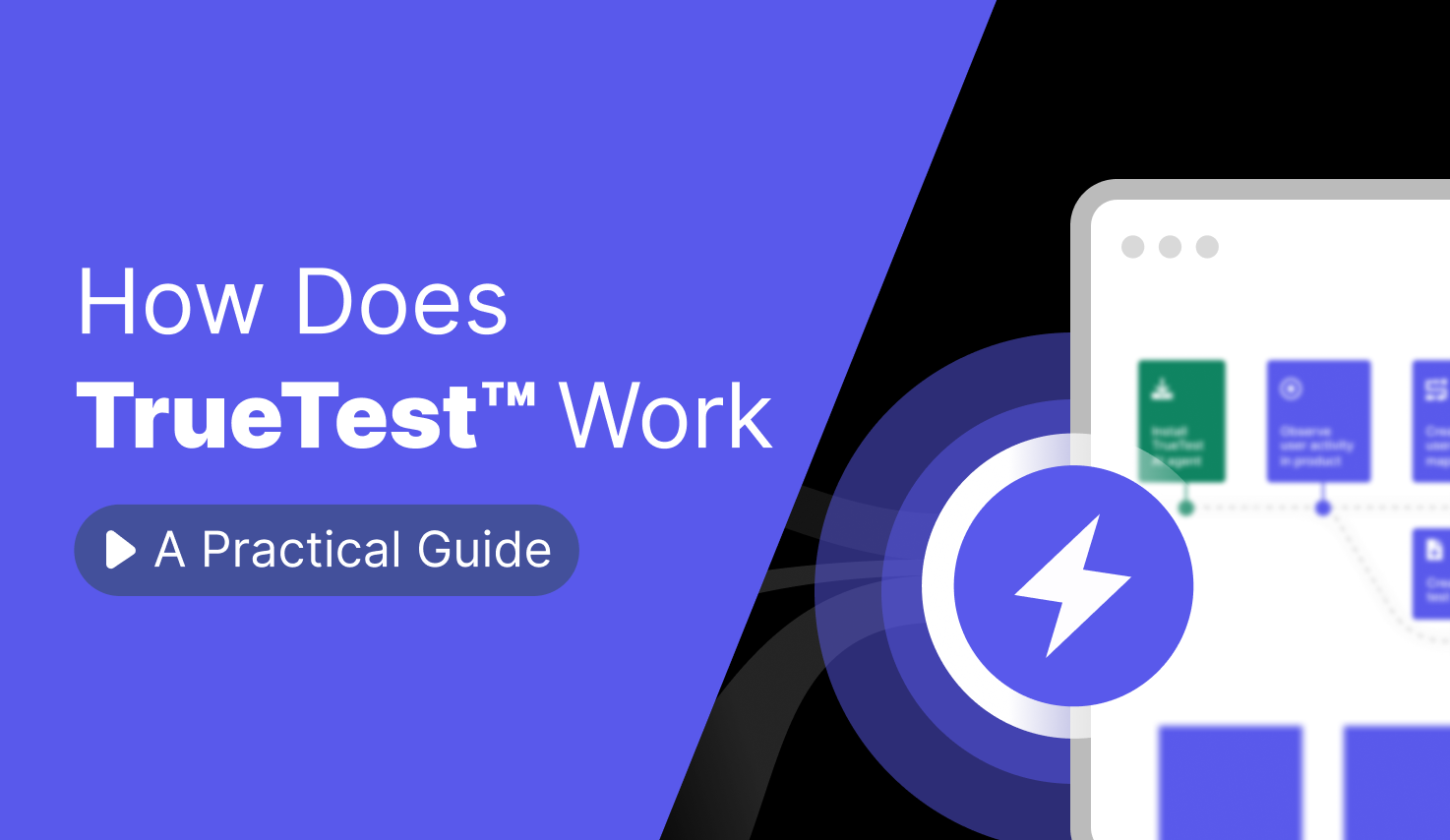 How TrueTest™ Works - A Practical Guide