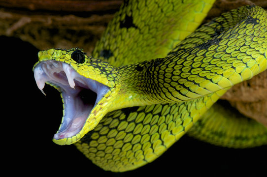 image4.png
