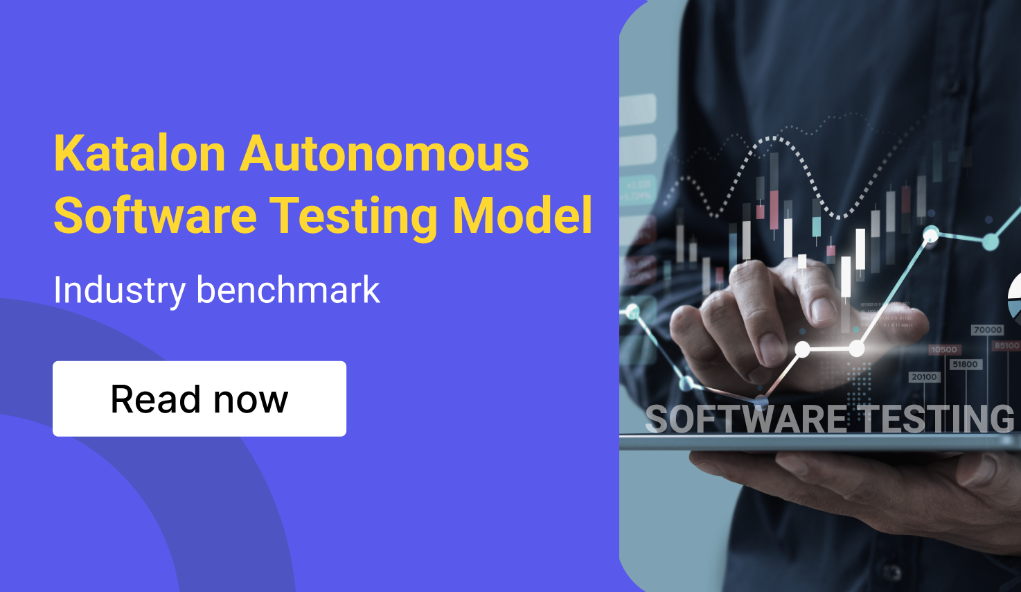 Toward an Autonomous Software Testing Benchmark
