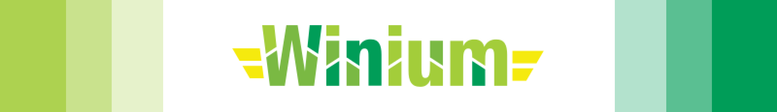 Winium as one of the top open-source desktop testing framework